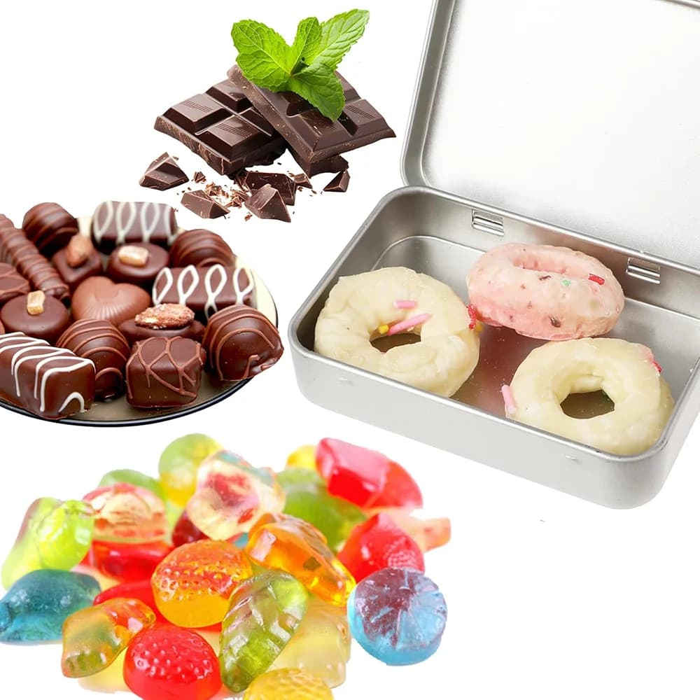 6Pcs Metal Hinged Tin Box Container Mini Portable Small Storage Container Kit with Lid for Home Storage Candy Craft Organizer